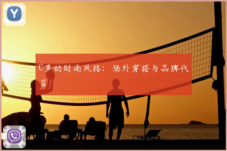 中国排球联赛观赛指南：赛程与球队介绍