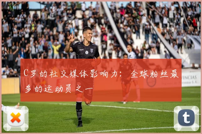 中国排球联赛观赛指南:赛程与球队介绍